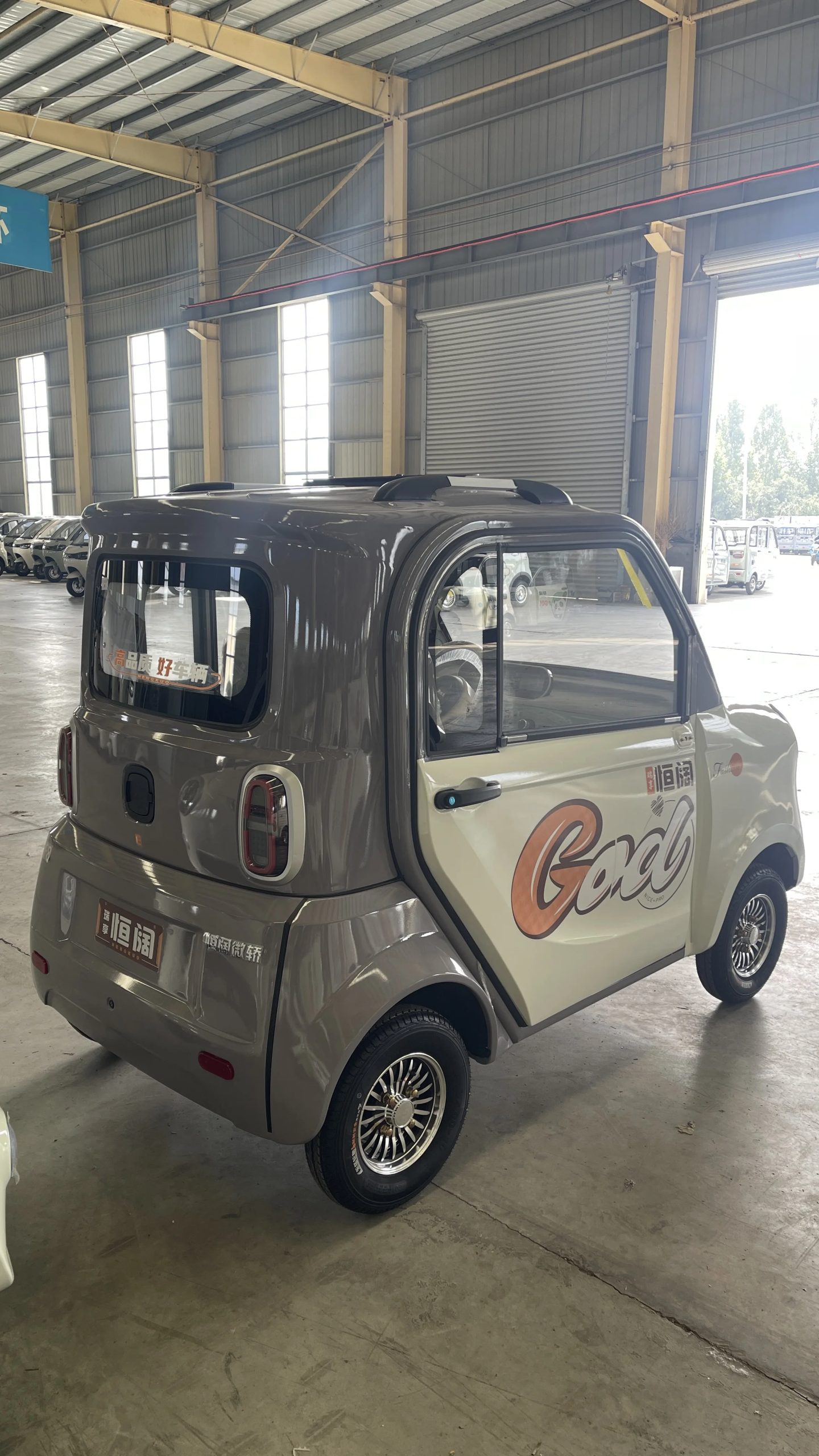   Quadricycle eléctrico para adultos: velocidad de 45 km/h, alcance de 80 km, frenos dobles: seguro para viajes diarios y salidas de comestibles