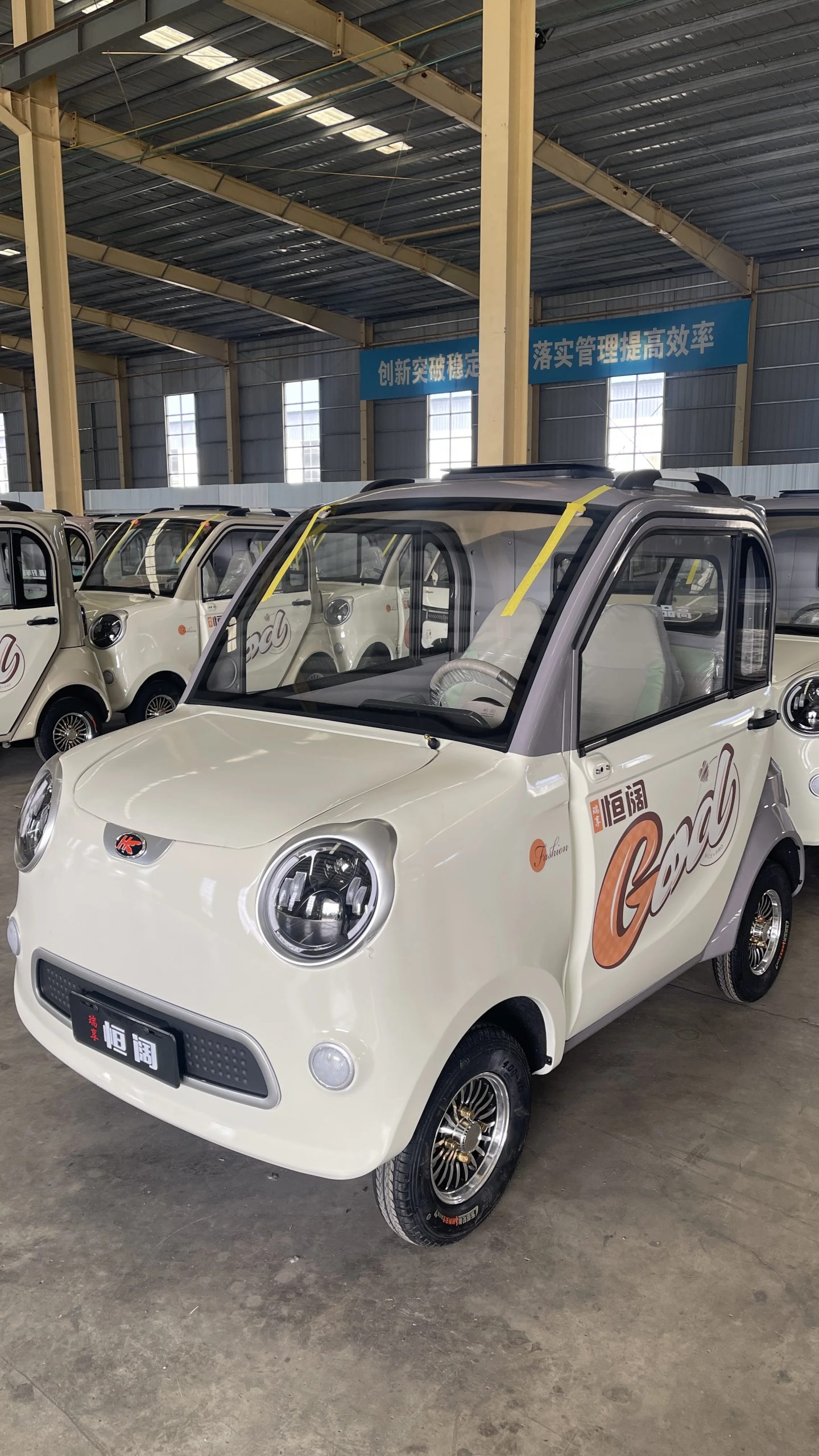   Quadricycle eléctrico para adultos: velocidad de 45 km/h, alcance de 80 km, frenos dobles: seguro para viajes diarios y salidas de comestibles