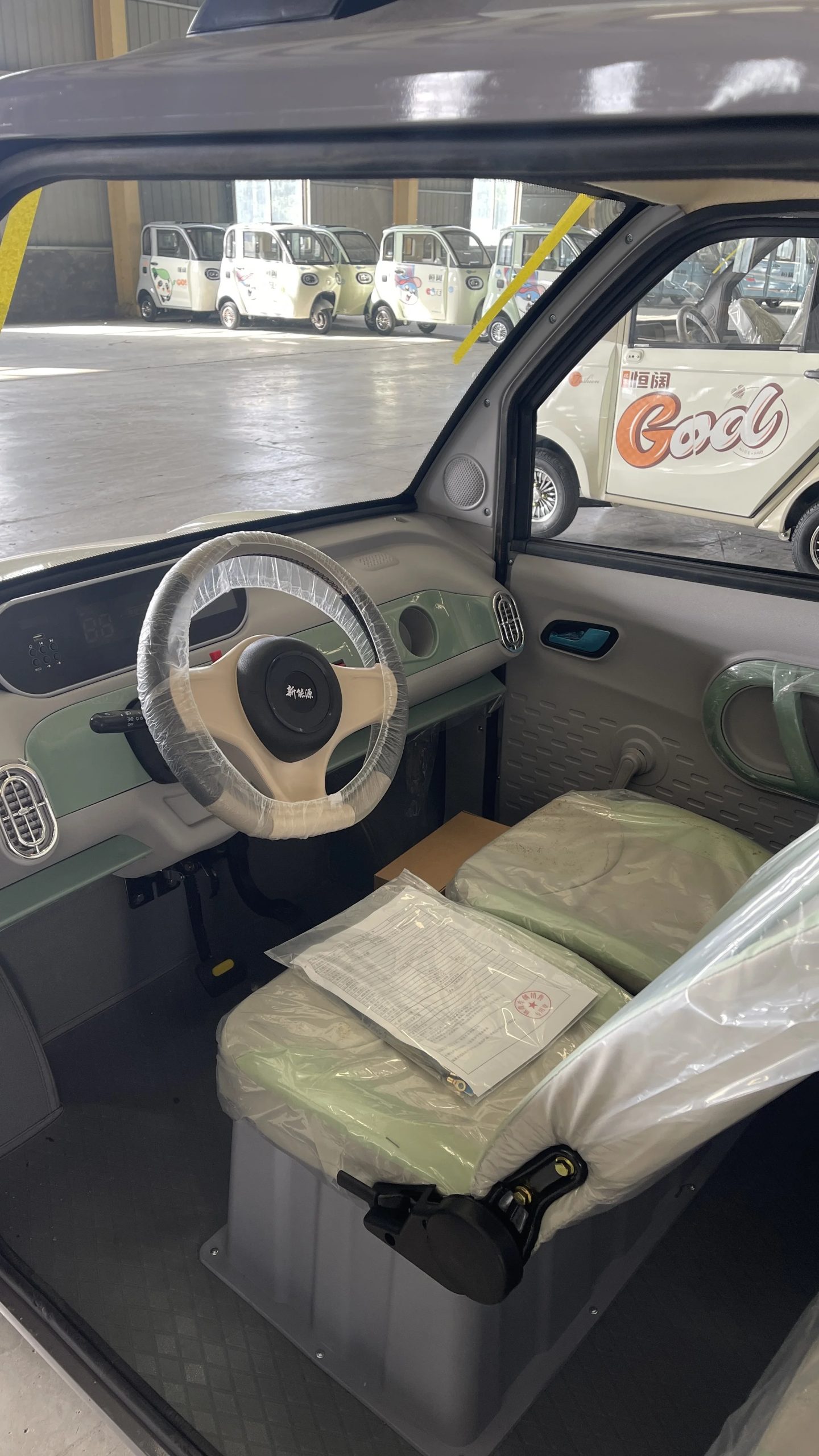   Quadricycle eléctrico para adultos: velocidad de 45 km/h, alcance de 80 km, frenos dobles: seguro para viajes diarios y salidas de comestibles