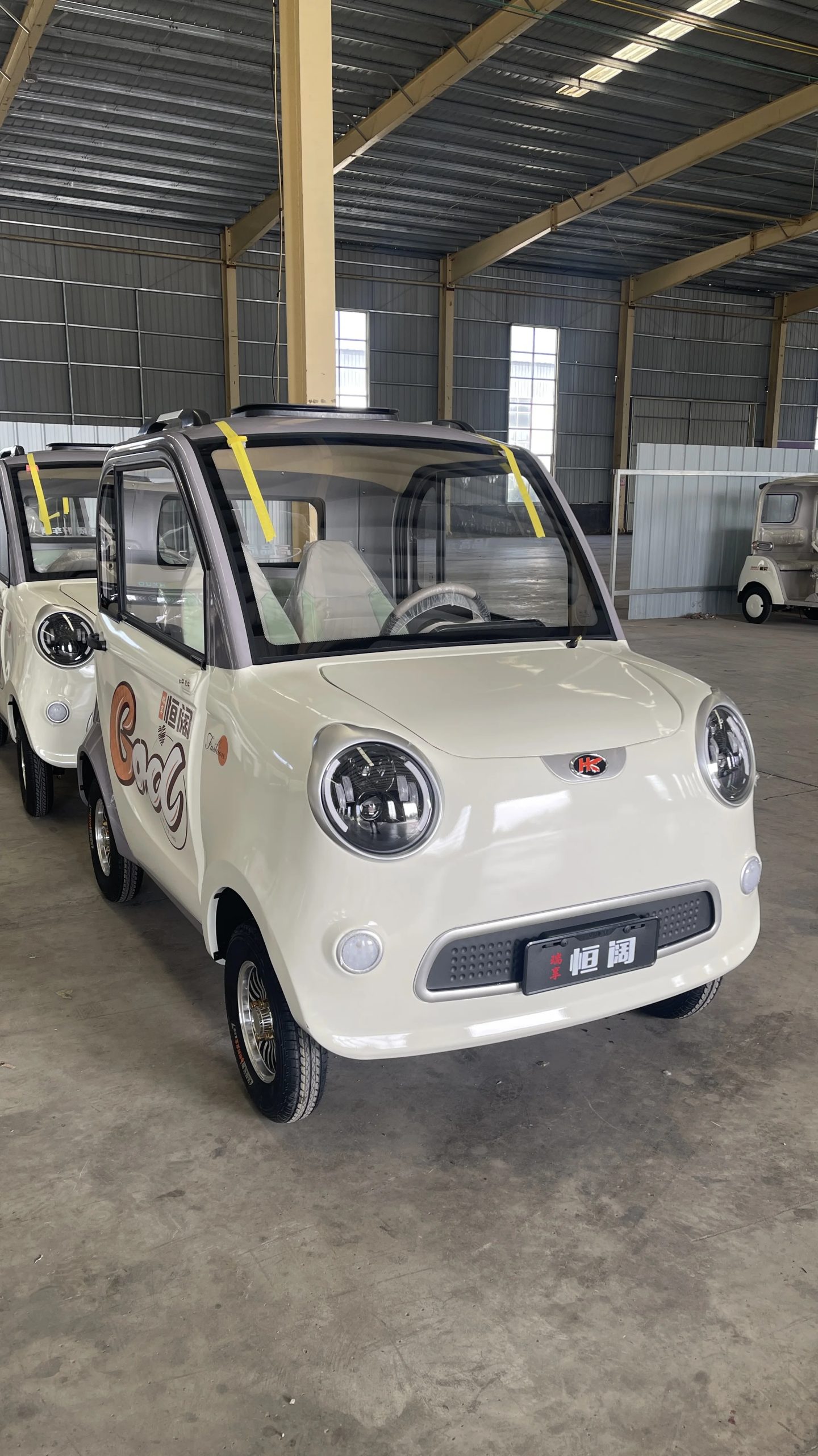   Quadricycle eléctrico para adultos: velocidad de 45 km/h, alcance de 80 km, frenos dobles: seguro para viajes diarios y salidas de comestibles